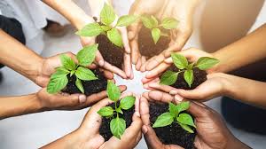 Environmental Conservation Efforts Gain Momentum